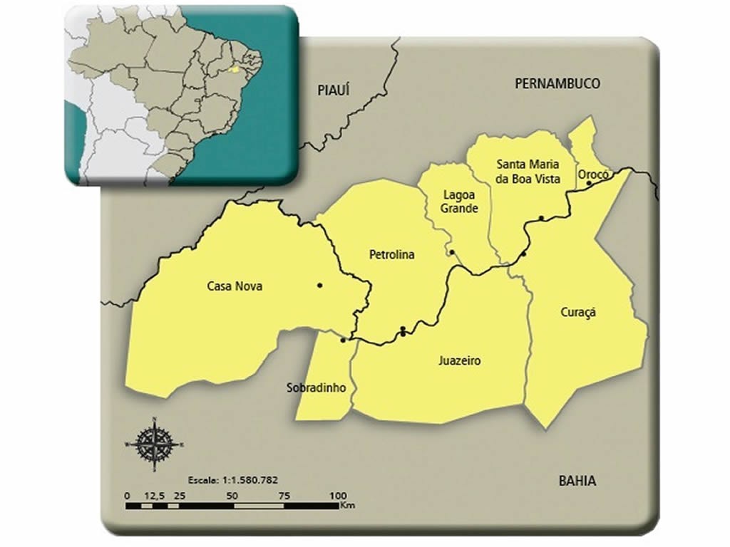 mediosaofrancisco