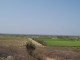 _DSC0974