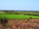 _DSC0999